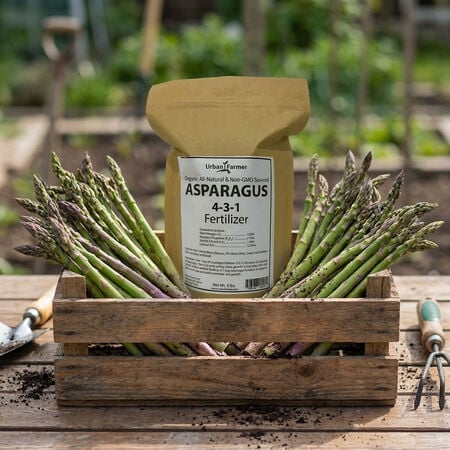 Organic Asparagus Fertilizer, Fertilizers - 3 Pounds image number null